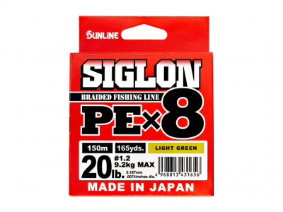 SIGLONPE8-1024x768